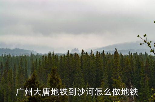 廣州大富豪到沙河，請問中山南頭到廣州沙河大西豪女人街怎么坐車去急謝謝