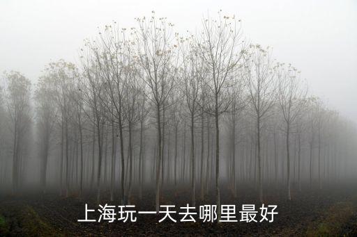 上海玩一天去哪里最好