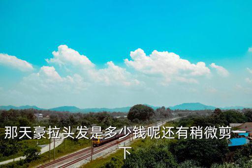 那天豪拉頭發是多少錢呢還有稍微剪一下