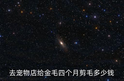 去寵物店給金毛四個月剪毛多少錢