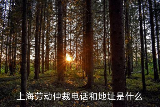 上海勞動仲裁電話和地址是什么