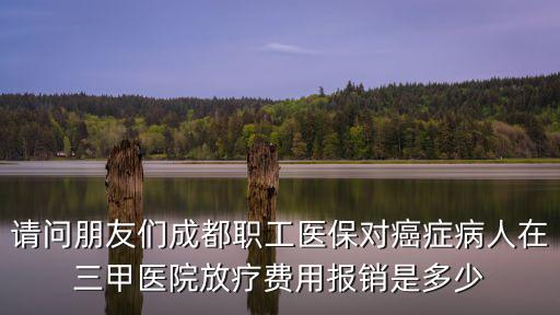 成都市三級甲等醫院收費標準，請問朋友們成都職工醫保對癌癥病人在三甲醫院放療費用報銷是多少