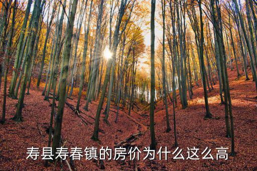 安徽哪個小鎮房價高，壽縣壽春鎮的房價為什么這么高