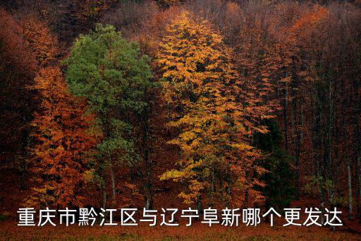 重慶市黔江區(qū)與遼寧阜新哪個(gè)更發(fā)達(dá)