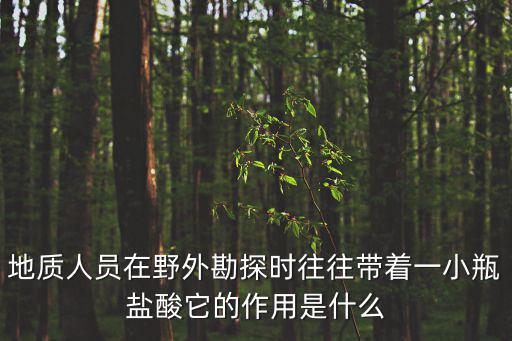 廣州地質(zhì)勘察何發(fā)光，請問廣州地質(zhì)探礦大隊的電話是多少地址又在哪里