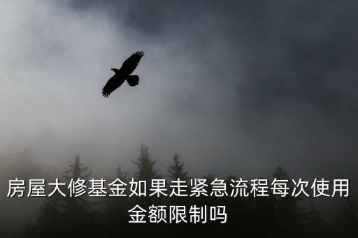 房屋大修基金如果走緊急流程每次使用金額限制嗎