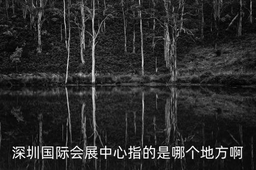 深圳國(guó)際會(huì)展中心指的是哪個(gè)地方啊