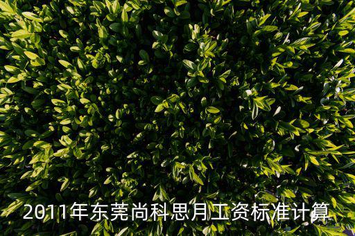 東莞到手工資計算器，2011年東莞尚科思月工資標準計算