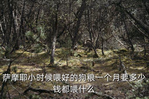 薩摩耶35天狗糧喂多少錢，薩摩耶小時(shí)候喂好的狗糧一個(gè)月要多少錢都喂什么