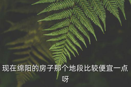 現在綿陽的房子那個地段比較便宜一點呀