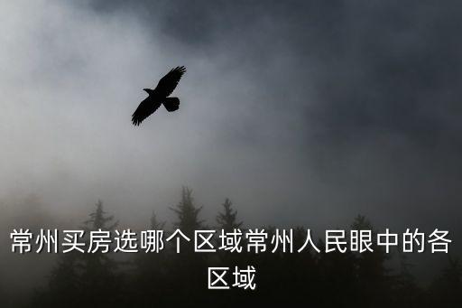 常州買房選哪個區(qū)域常州人民眼中的各區(qū)域