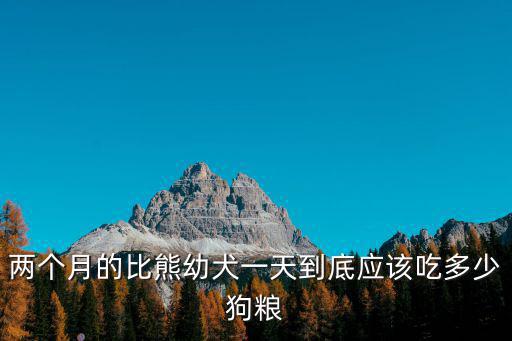 兩個月大比熊吃多少，兩個月的比熊一天吃多少