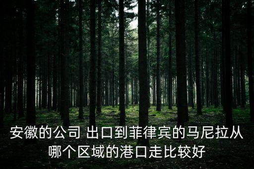 安徽的公司 出口到菲律賓的馬尼拉從哪個(gè)區(qū)域的港口走比較好