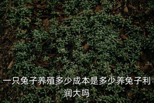 一只兔子養(yǎng)殖多少成本是多少養(yǎng)兔子利潤(rùn)大嗎