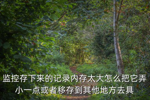 監控存下來的記錄內存太大怎么把它弄小一點或者移存到其他地方去具