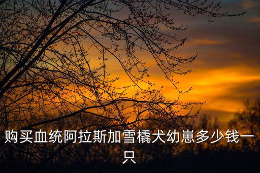 購(gòu)買(mǎi)血統(tǒng)阿拉斯加雪橇犬幼崽多少錢(qián)一只