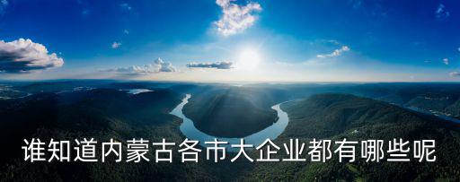 誰知道內(nèi)蒙古各市大企業(yè)都有哪些呢