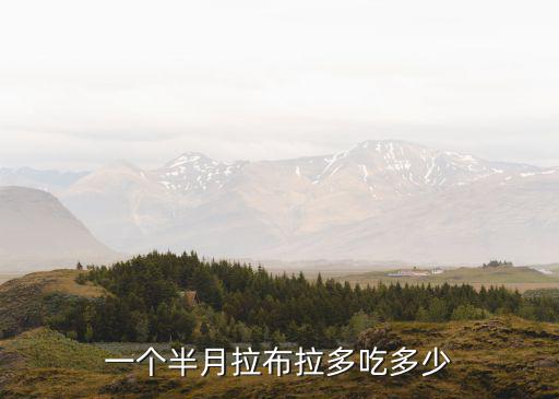 一個半月拉布拉多吃多少