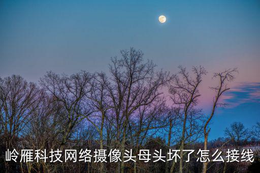 嶺雁科技網絡攝像頭母頭壞了怎么接線