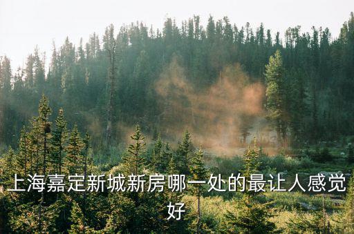上海嘉定新城新房哪一處的最讓人感覺好