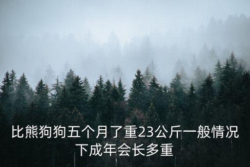幼犬比熊多少克，比熊能長多大啊多少斤左右呢