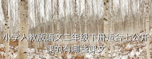 小學人教版語文二年級下冊適合上公開課的有哪些課文