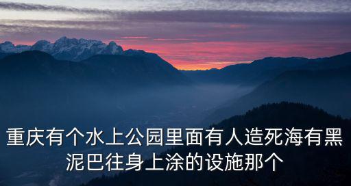重慶有個水上公園里面有人造死海有黑泥巴往身上涂的設施那個