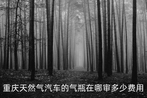 重慶市南岸區(qū)汽車燃氣瓶年審，重慶車輛天然氣瓶屬于那個部門年審