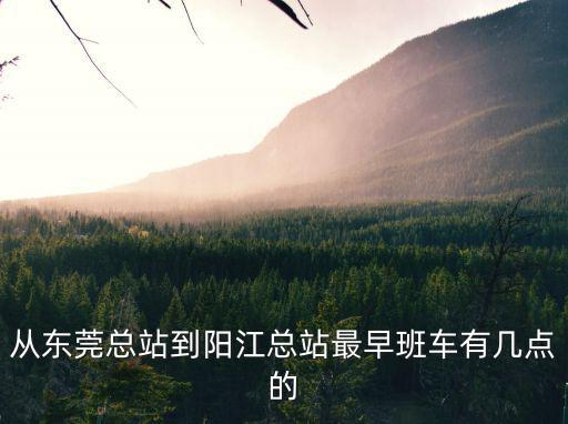 從東莞總站到陽江總站最早班車有幾點的
