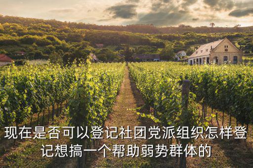 現在是否可以登記社團黨派組織怎樣登記想搞一個幫助弱勢群體的