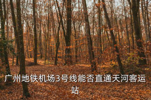 廣州地鐵iPhone云卡，廣州地鐵機(jī)場(chǎng)3號(hào)線能否直通天河客運(yùn)站