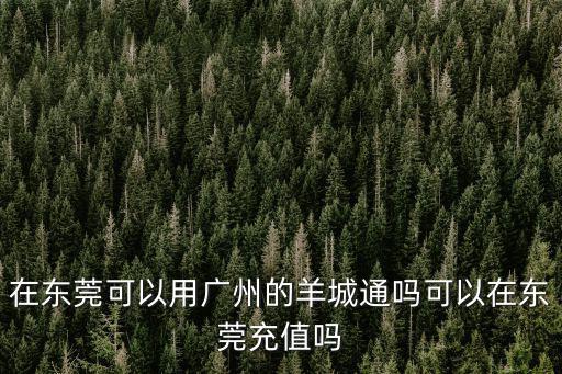 在東莞可以用廣州的羊城通嗎可以在東莞充值嗎
