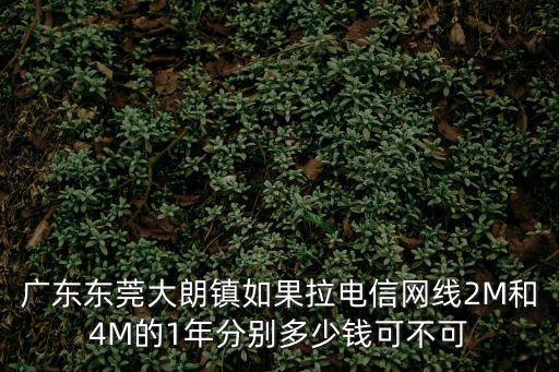 廣東東莞大朗鎮如果拉電信網線2M和4M的1年分別多少錢可不可