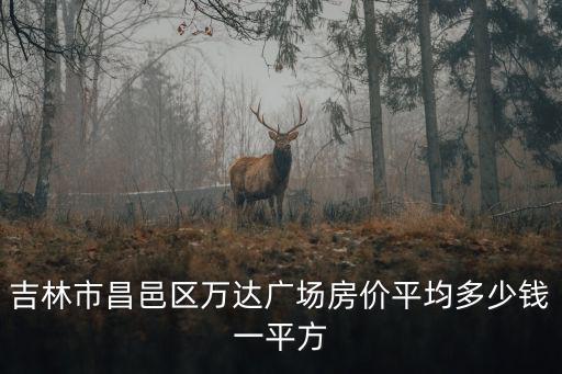 吉林市昌邑區萬達廣場房價平均多少錢一平方