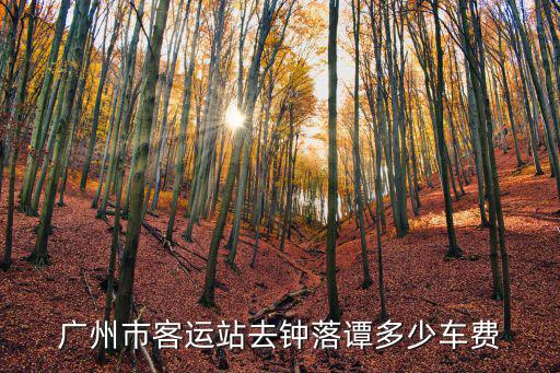 廣州市客運站去鐘落譚多少車費