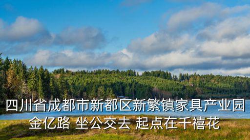 四川省成都市新都區(qū)新繁鎮(zhèn)家具產(chǎn)業(yè)園金億路 坐公交去 起點(diǎn)在千禧花
