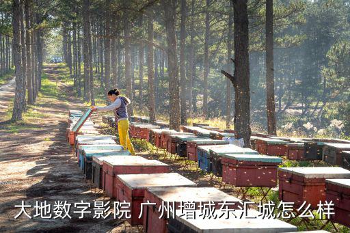 大地數字影院 廣州增城東匯城怎么樣