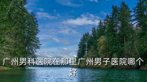 廣州德明朗信，廣州治療前列腺醫(yī)院介紹家公立的醫(yī)院吧