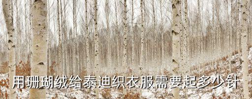 用珊瑚絨給泰迪織衣服需要起多少針