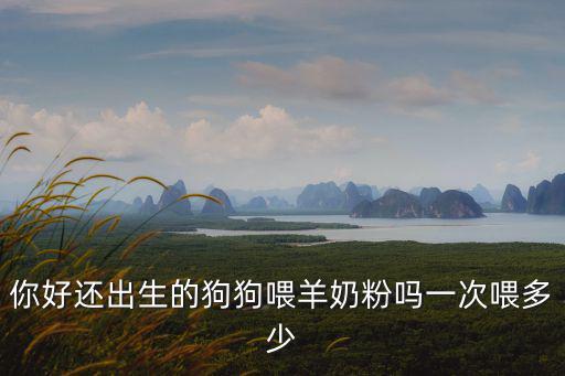 你好還出生的狗狗喂羊奶粉嗎一次喂多少