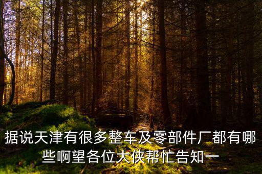 據說天津有很多整車及零部件廠都有哪些啊望各位大俠幫忙告知一
