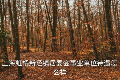 上海虹橋新涇鎮居委會事業單位待遇怎么樣