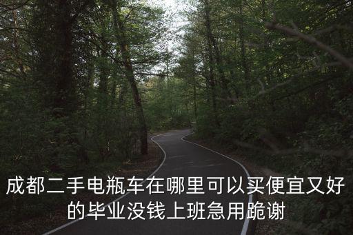成都二手電瓶車在哪里可以買便宜又好的畢業沒錢上班急用跪謝