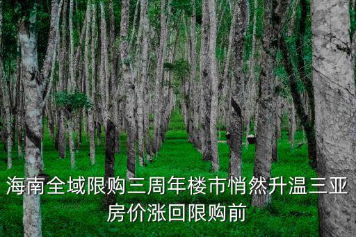 海南全域限購三周年樓市悄然升溫三亞房價漲回限購前