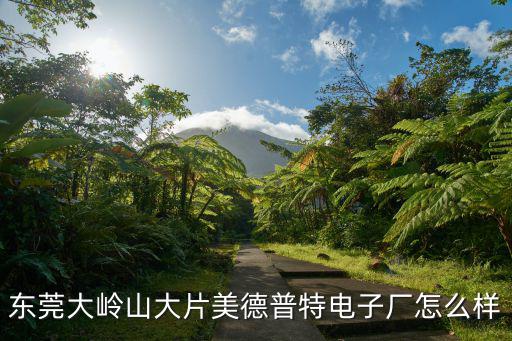 東莞大嶺山大片美德普特電子廠怎么樣