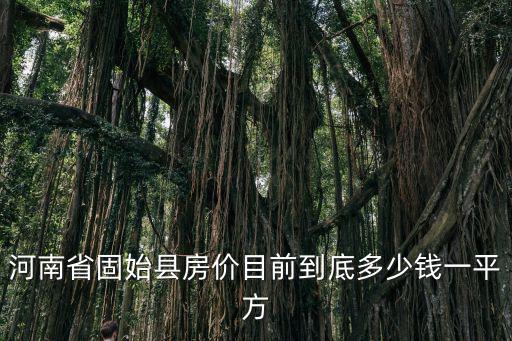 河南省固始縣房價目前到底多少錢一平方