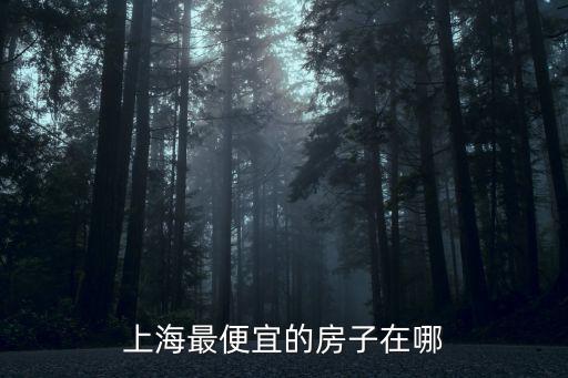 上海最便宜的房子在哪