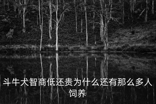 英斗的智商是多少，英國斗牛犬智商高嗎