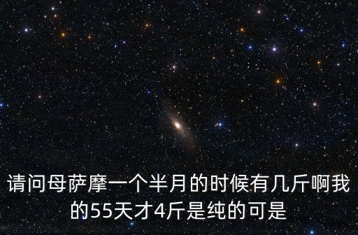 請問母薩摩一個半月的時候有幾斤啊我的55天才4斤是純的可是