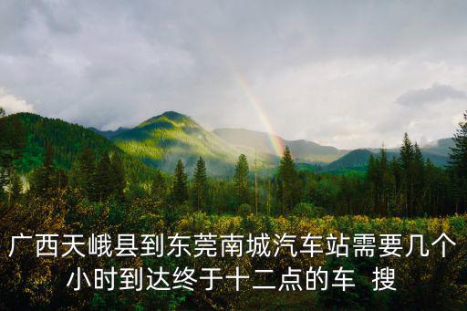 廣西天峨縣到東莞南城汽車站需要幾個小時到達終于十二點的車  搜